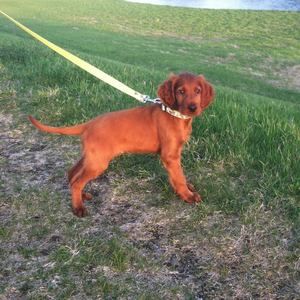 Meet your Posher, Ryan r